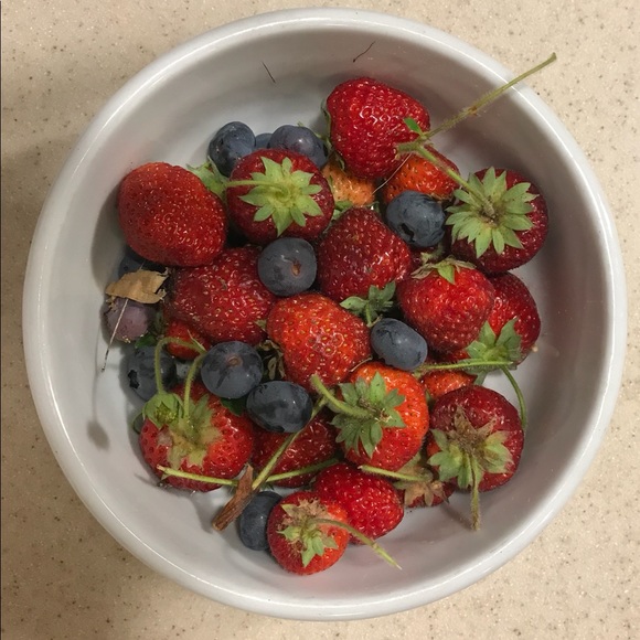 Meet your Posher, Samantha - Picture 1 of 1